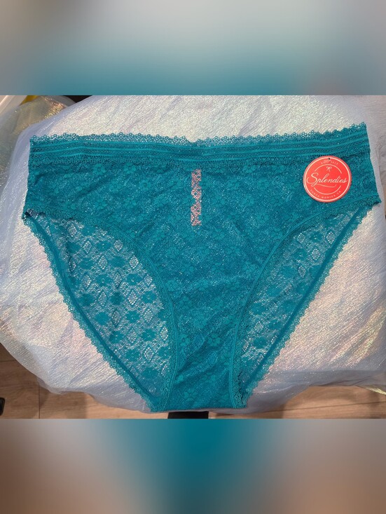 Splendies Other - NWT 4X Teal Lace Bikini Briefs